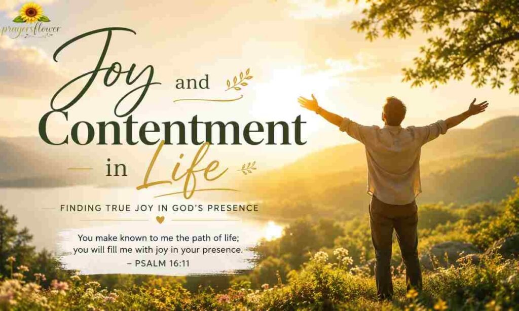Joy and Contentment in Life