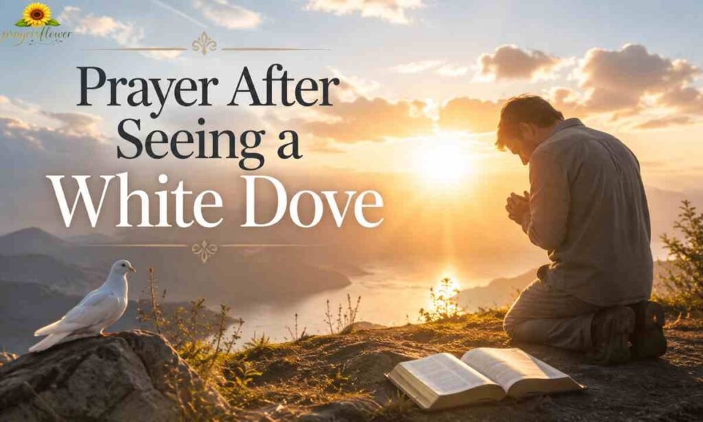 Prayer After Seeing a White Dove