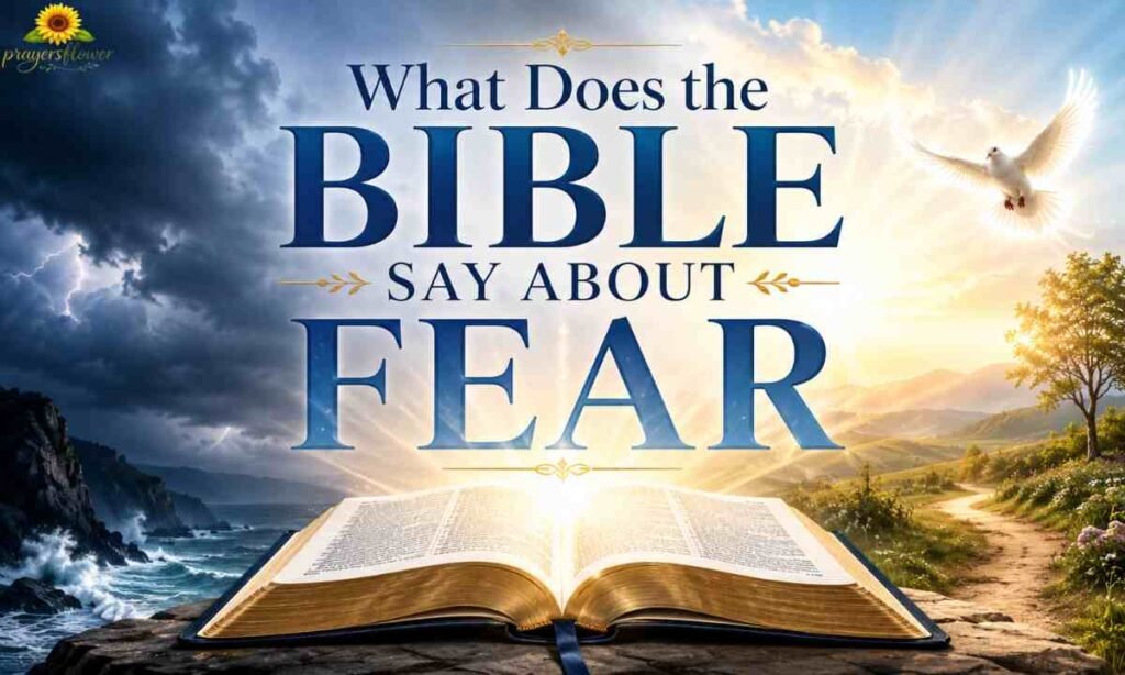 What Does the Bible Say About Fear