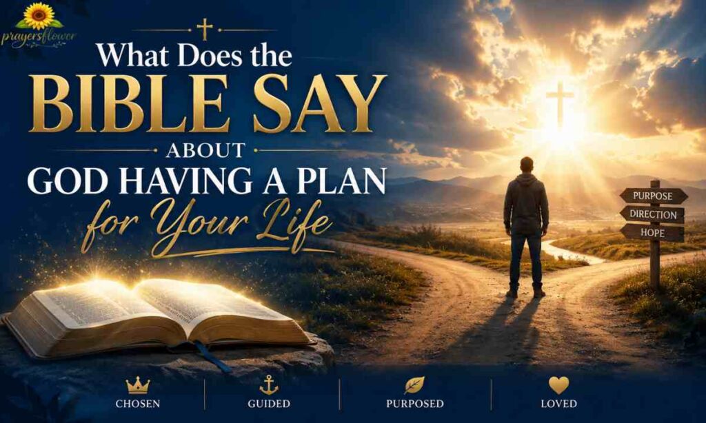 What Does the Bible Say About God Having a Plan for Your Life