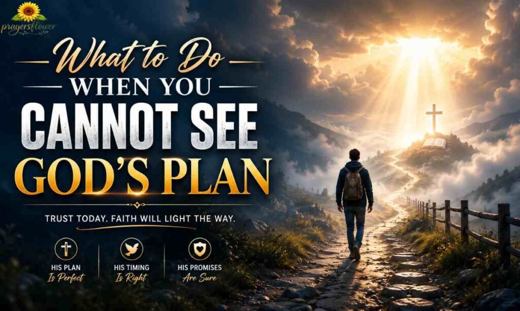 What to Do When You Cannot See God's Plan