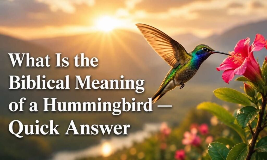 What Is the Biblical Meaning of a Hummingbird — Quick Answer