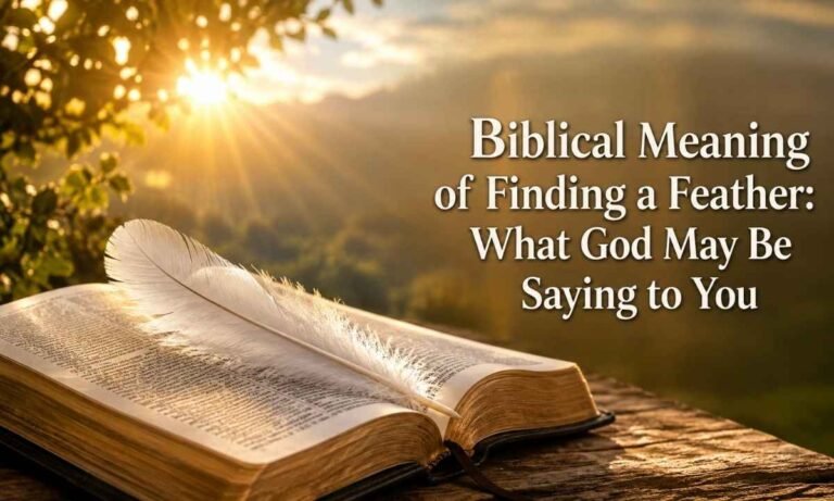 Biblical Meaning of Finding a Feather What God May Be Saying to You