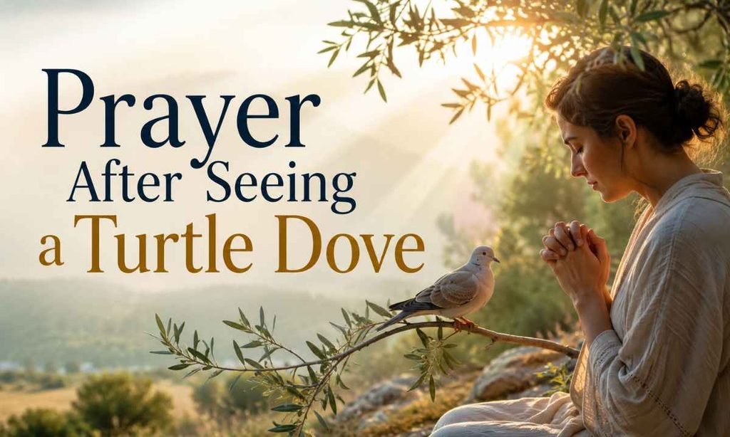 Prayer After Seeing a Turtle Dove