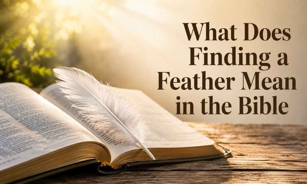What Does Finding a Feather Mean in the Bible